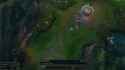 ap redditbear 1v2_thumb.jpg
