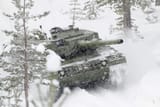 Leo 2 (20