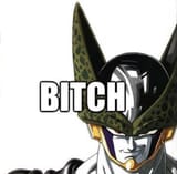 bitch