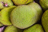 Jackfruit-background[1]
