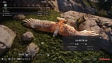 deadbirdinside