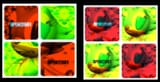 posterremnants