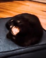 1683257867095873