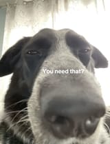 1743375490994750