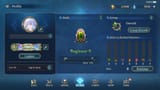 Beginner 0
