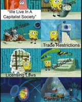 We live in a capitalist society protections funny