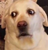EMnXIOmXYAEKOhF