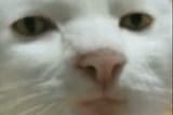 1624126017499