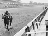 Belmont1973.jfif