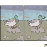 1653787656244
