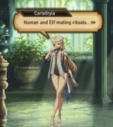 carty_human_and_elf_mating_rituals