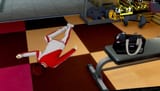 wonder gym
