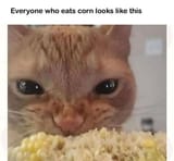 FCQXwLKWYAMHG_E.jpg_large