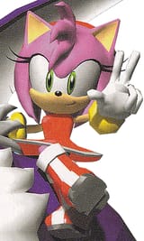 Amy-Rose-Sonic-Heroes-amy-rose-43886156-300-501