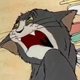 mfw gunsmoke