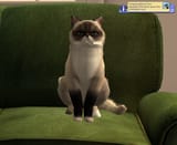 Sp9 Screenshot 2025.07.29 - 16.02.04.89