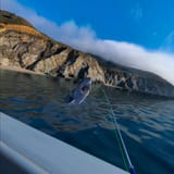 com.Miragesoft.RealVrFishingQ-20250730-193013