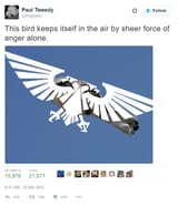 1727935638639855