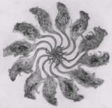 1029190501735015