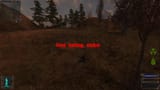 bandit