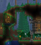 aa