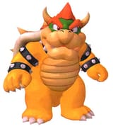 Sunshinebowser