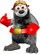 BumperDKRDSArtwork