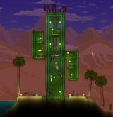cactushouse