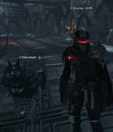 dynamic duo