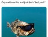 hell yeah
