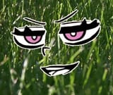Grassley