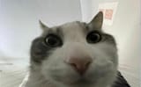 1677635946474686
