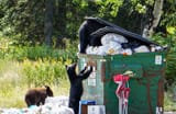 20210914_WF_BEARS_003-3533006032