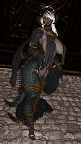 ffxiv_dx11_2025-08-01_07-14-57-1