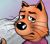Cool_Cat