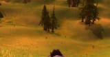 8F782440-261C-4E31-AE01-639246EA3939