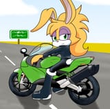 biker_bunnie