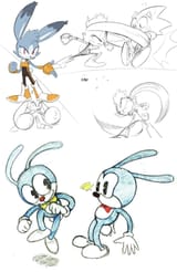 Rabbits