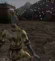 floating up to vivec like this_thumb.jpg