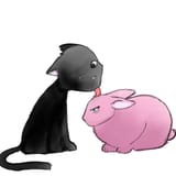 Bunny &amp; Cat @raynilazd