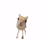 hop hop hop hop hop