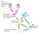 breeding