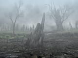 MH1_map4_沼地_