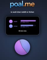 SEAF CHAN IS REDDIT