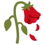 images (1)