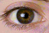 eye-twitch