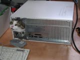 meow