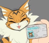 meicoodriverslicense