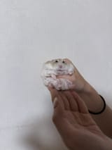 20250801_104206