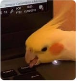 1749569480517824